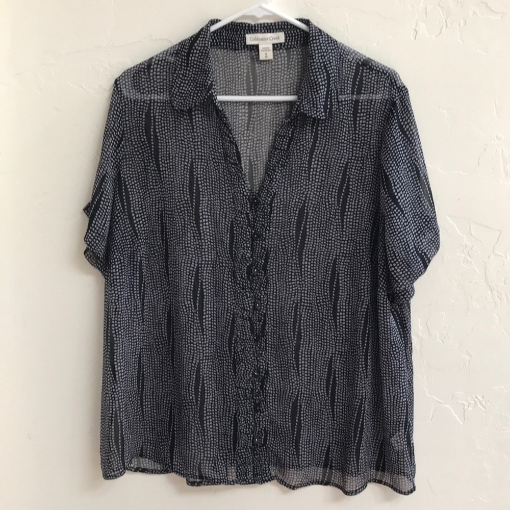 Coldwater Creek 1x/18 Sheer Top